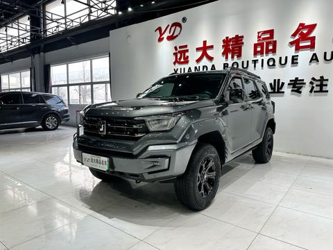 Tank 400 New Energy 2024 Tank 400 New Energy 2024 car image