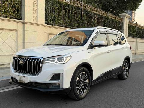 SWM G05 2020 SWM G05 2020 汽车图片