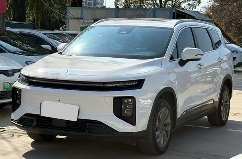 Livan 9 2024 汽车图片 