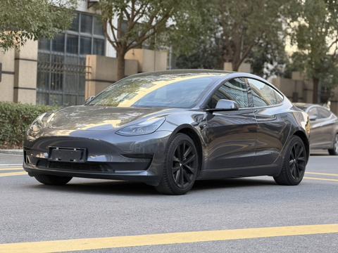 Tesla Model 3 2020 car image 