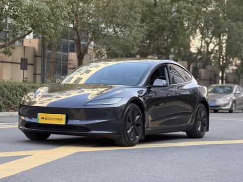 Tesla Model 3 2024 Tesla Model 3 2024 car image