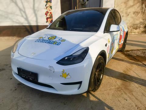 Tesla Model Y 2022 Tesla Model Y 2022 car image
