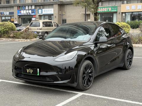 Tesla Model Y 2022 car image 