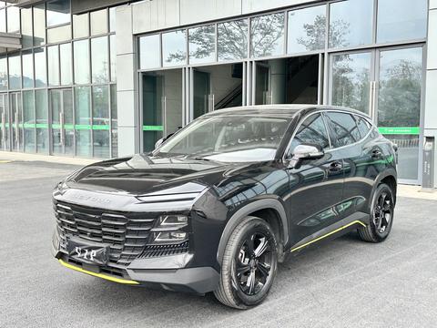 Jetour Dashing 2024 car image 