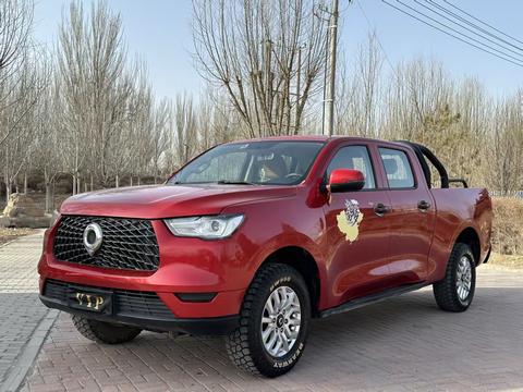 Great Wall Poer 2020 car image 