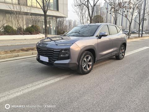 捷途 捷途大圣 2023 汽车图片 