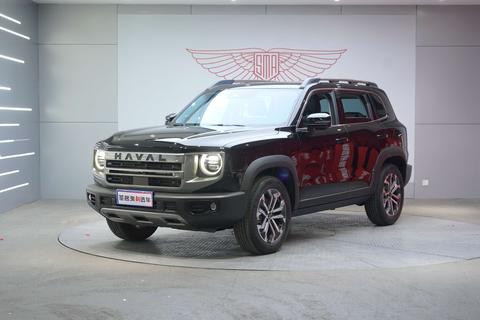 Haval X Dog / Dargo 2023 car image 