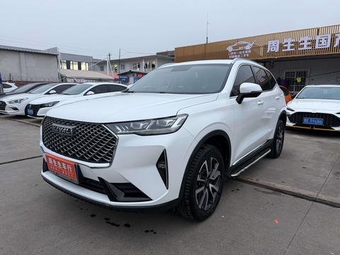 Haval 2021 immagine di auto 