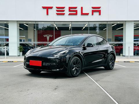 Tesla Model Y 2023 car image 