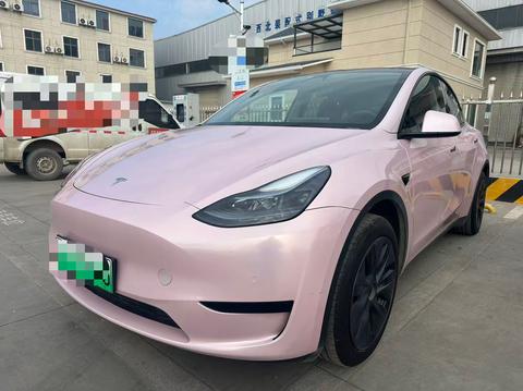 Tesla Model Y 2023 car image 