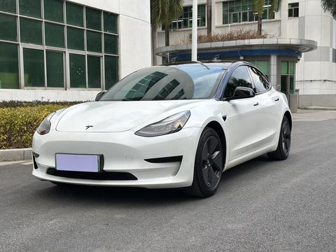 Tesla Model 3 2022 car image 