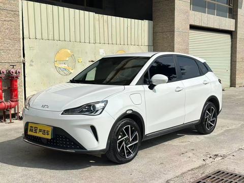 Neta AYA 2024 Neta AYA 2024 汽车图片