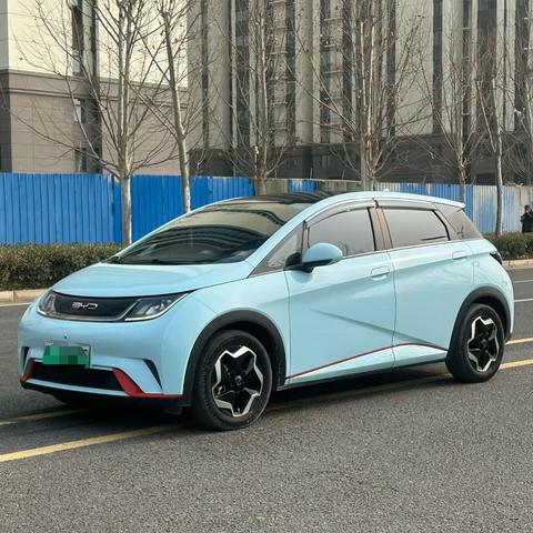 BYD Dolphin 2022 car image 
