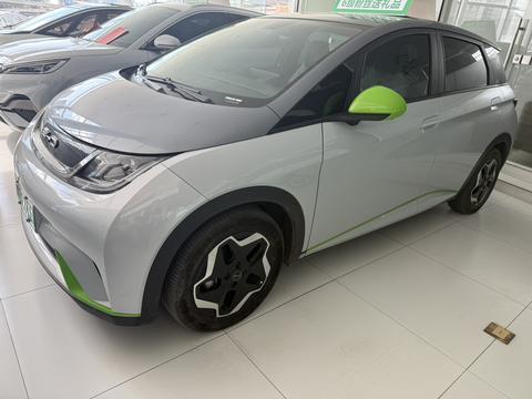 BYD Dolphin 2022 BYD Dolphin 2022 car image