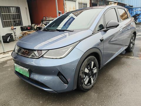 BYD Dolphin 2025 car image 