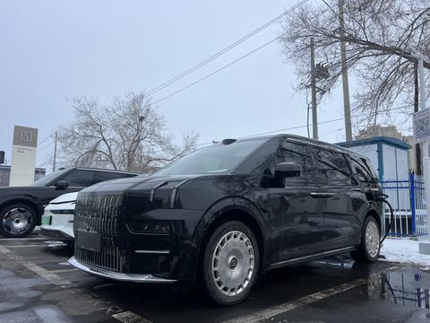 Zeekr 009 2024 汽车图片 