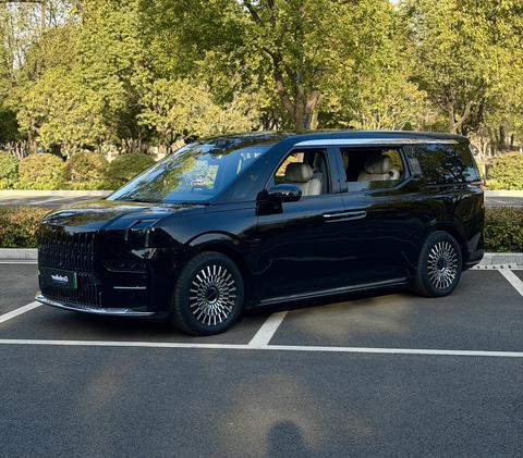 Zeekr 009 2024 汽车图片 