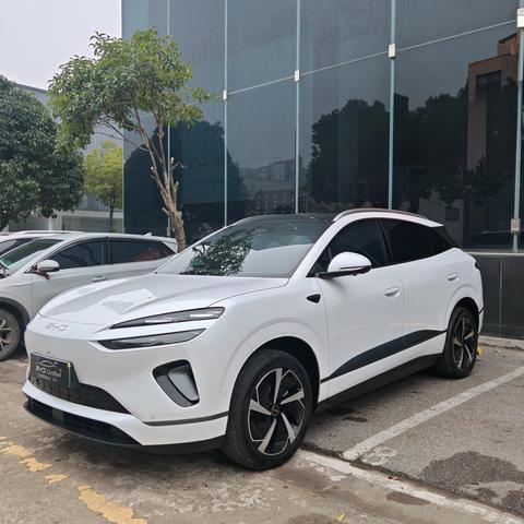 BYD Sea Lion 06 New Energy 2025 car image 