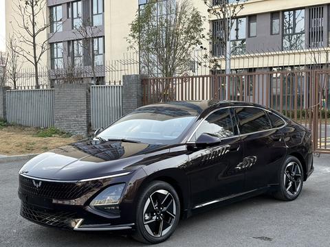 Wuling Starlight 2023 汽车图片 