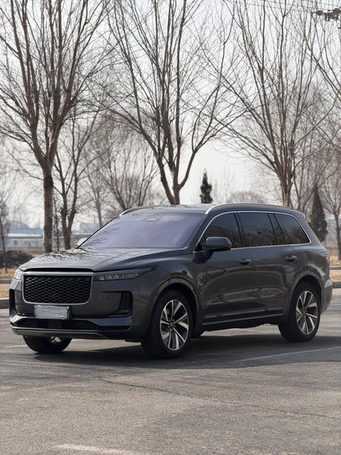 Li One 2022 汽车图片 