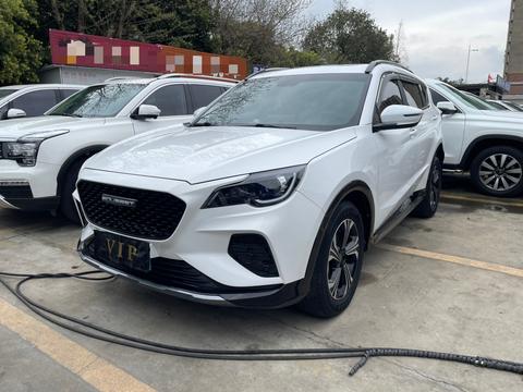 Soueast DX8 S 2022 汽车图片 