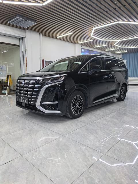 Denza D9 2023 immagine di auto 