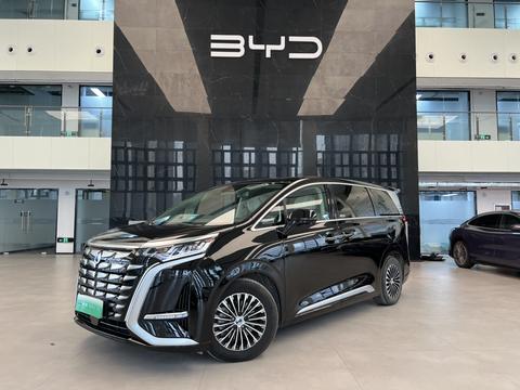 腾势 腾势D9 2024 汽车图片 