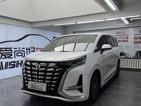 Denza D9 2023 immagine di auto 