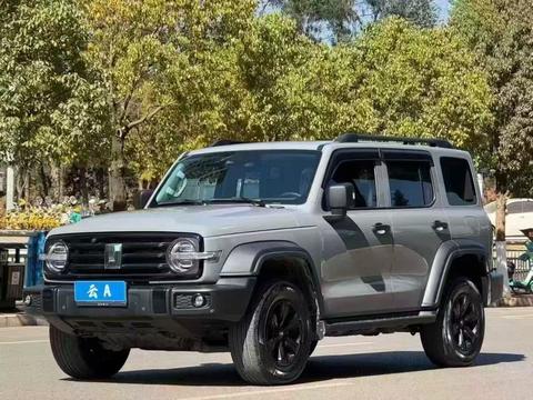 Tank 300 2022 汽车图片 