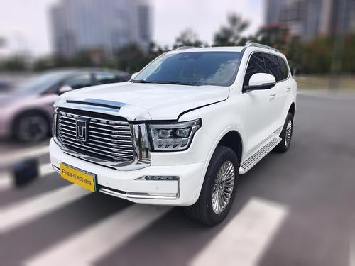 Tank 500 New Energy 2025 汽车图片 