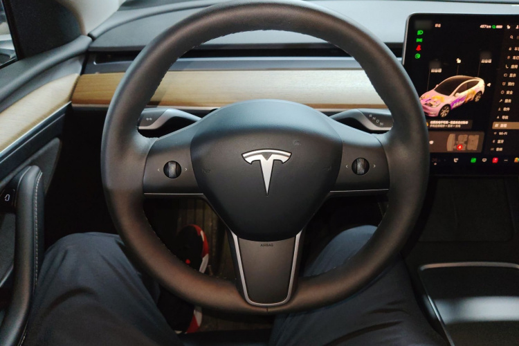 Tesla Model Y 2021 #11 Tesla Model Y 2021 car image #11