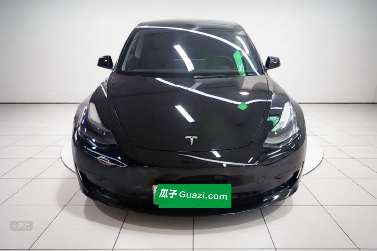 Tesla Model 3 2021 #3 Tesla Model 3 2021 car image #3