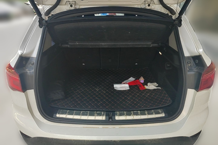 BMW X1 2017 #21 BMW X1 2017 immagine di auto #21