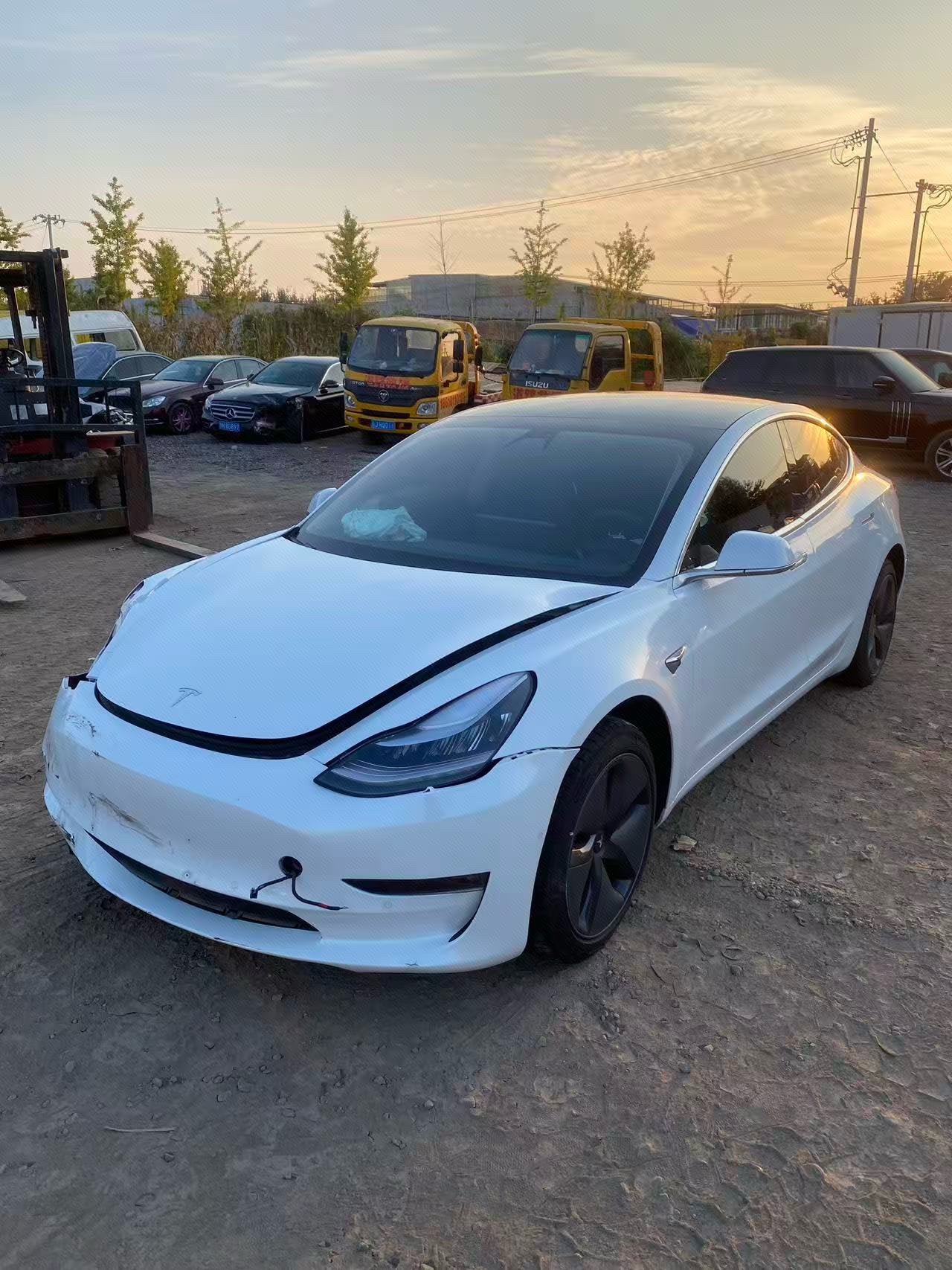 Tesla Model 3 (Imported) 2019 Tesla Model 3 (Imported) 2019 car image