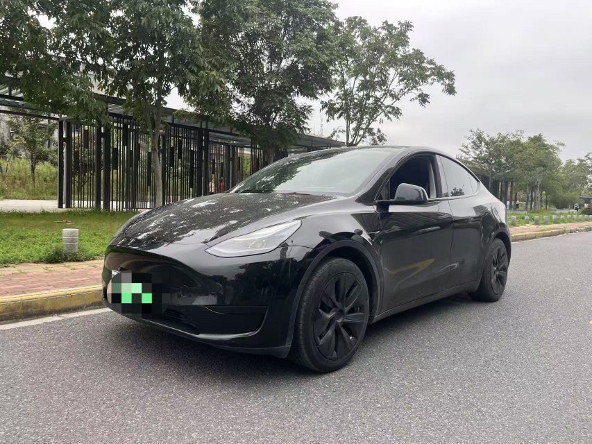 Tesla Model Y 2023 Tesla Model Y 2023 car image
