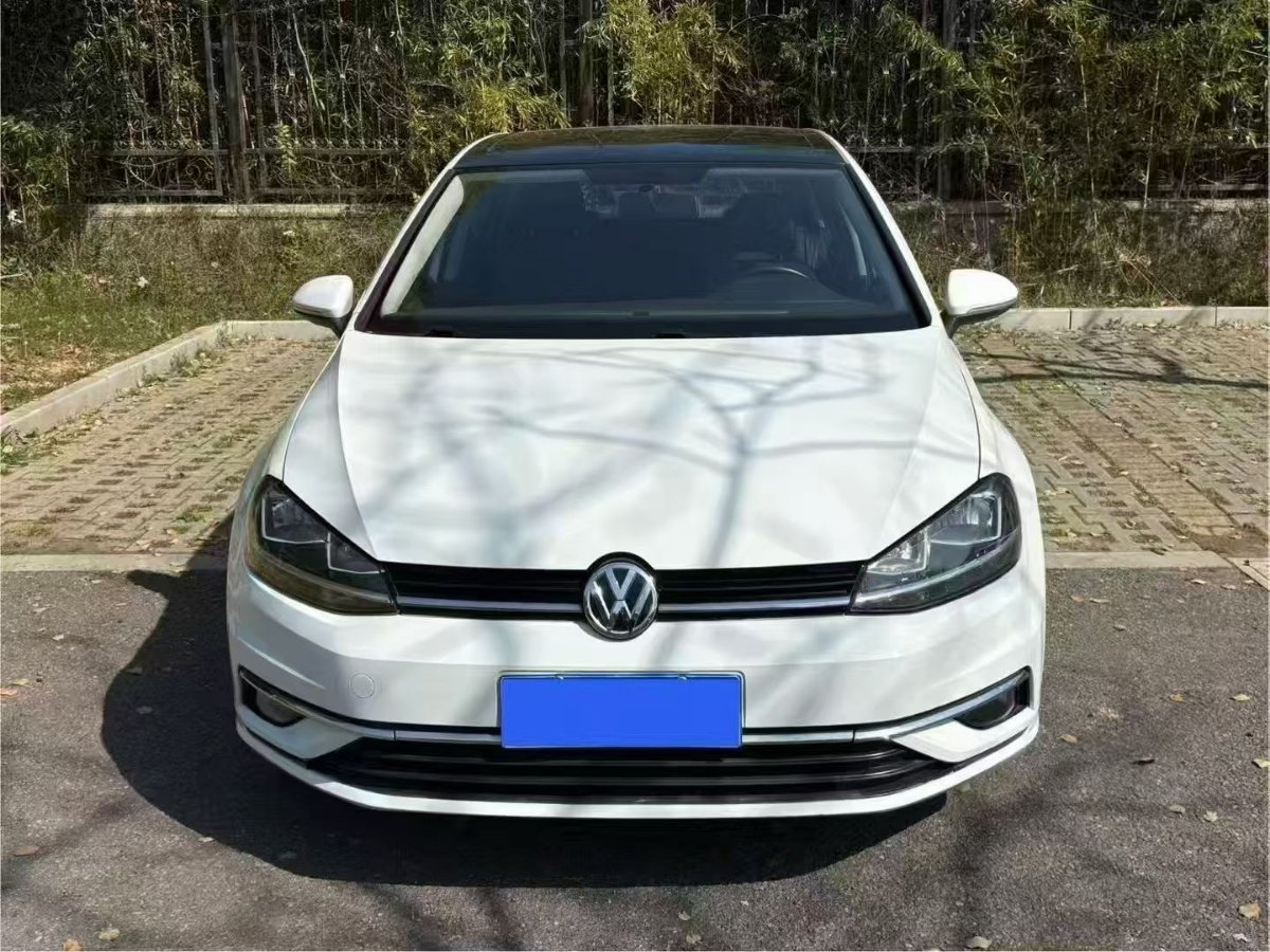 Volkswagen Golf 2019 #8 Volkswagen Golf 2019 car image #8