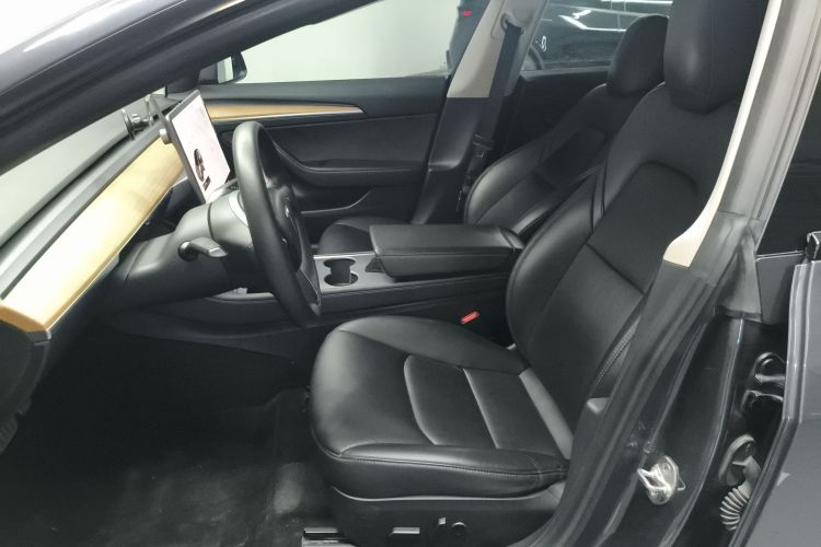 Tesla Model 3 2021 car image #15