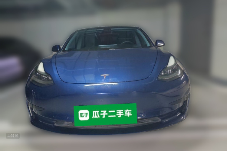 Tesla Model 3 2021 immagine di auto #3