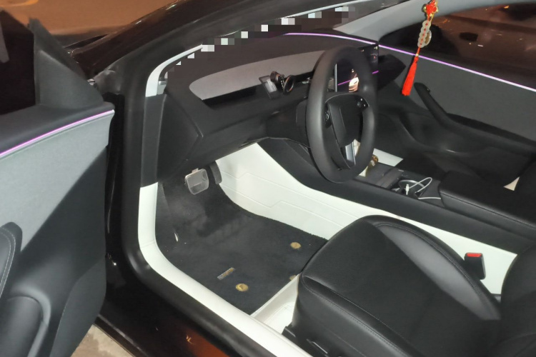 Tesla Model 3 2023 car image #13