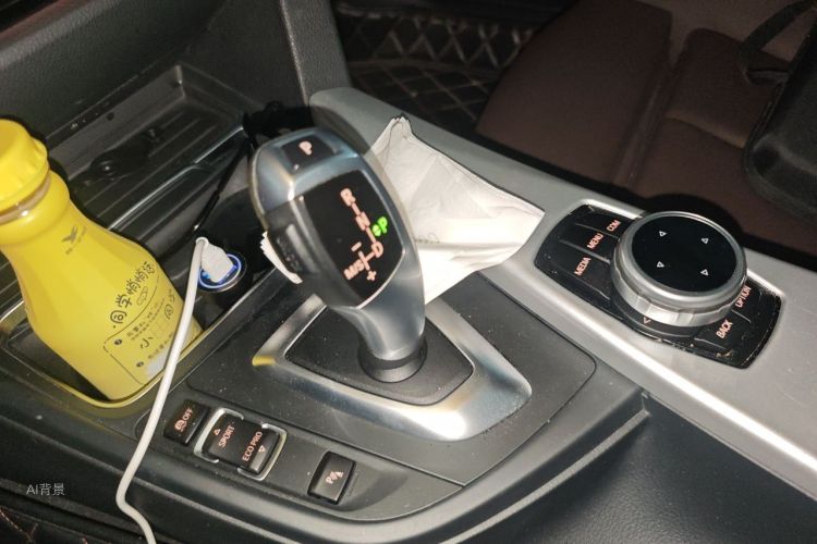 BMW 3 Series 2018 car image #16