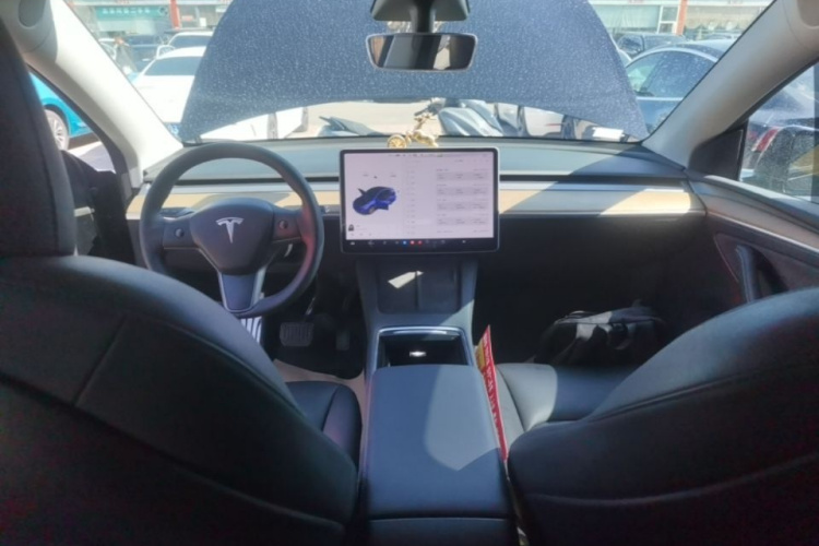 Tesla Model Y 2021 #10 Tesla Model Y 2021 car image #10