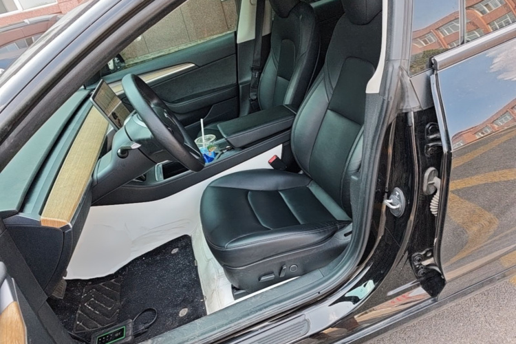 Tesla Model 3 2021 car image #15