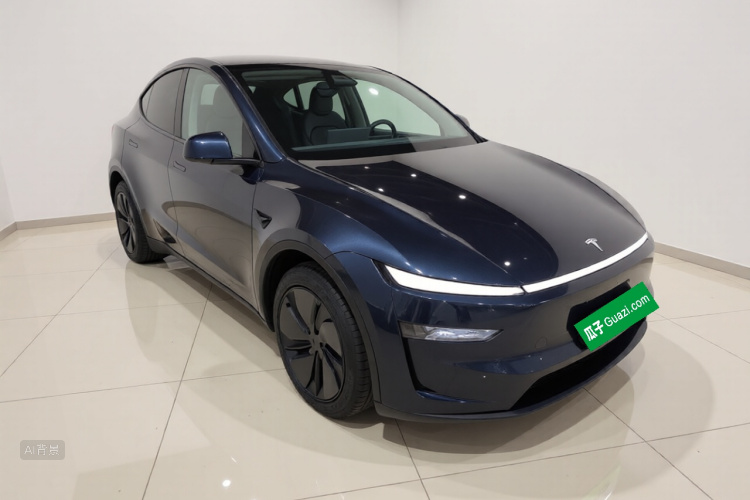 Tesla Model Y 2025 car image #4