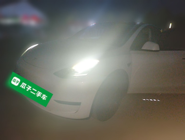 Tesla Model Y 2024 car image 
