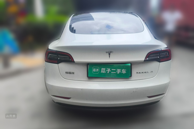 Tesla Model 3 2021 immagine di auto #6