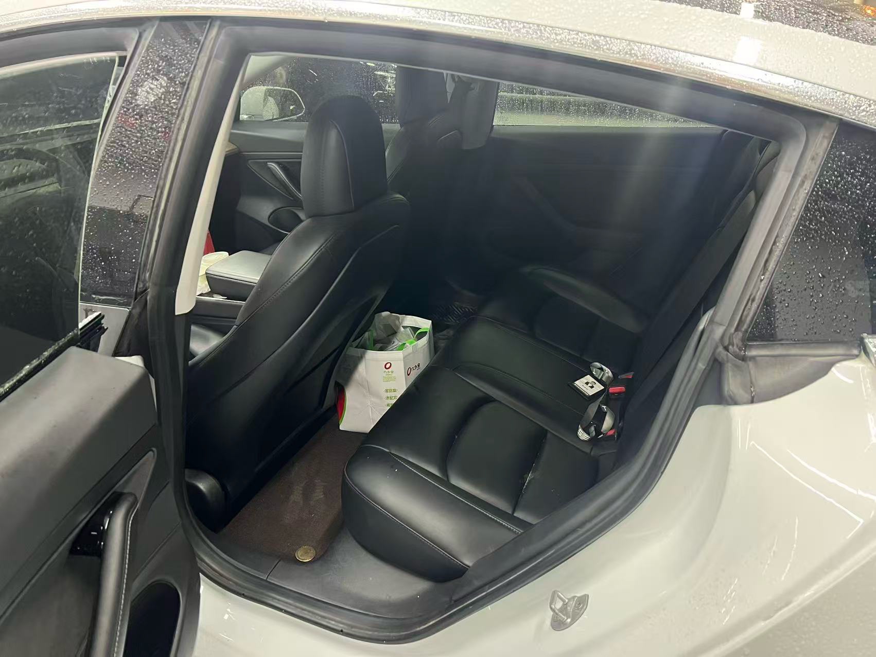 Tesla Model 3 2020 imagem de carro #5