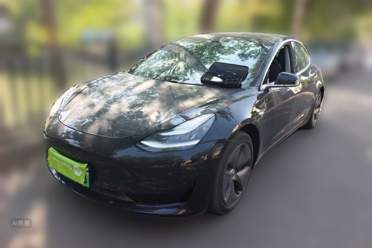 Tesla Model 3 2020 immagine di auto #2
