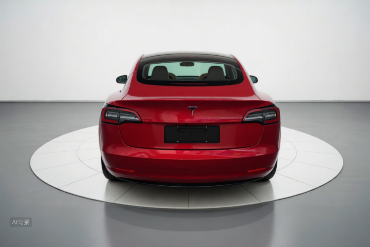 Tesla Model 3 2021 #6 Tesla Model 3 2021 car image #6