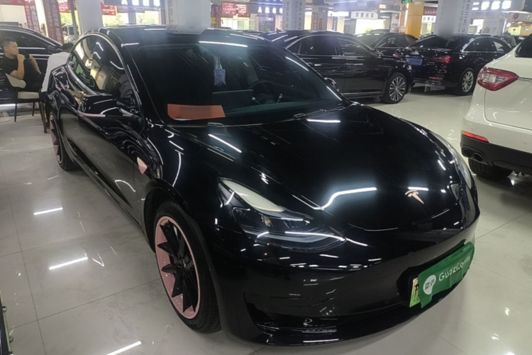 Tesla Model 3 2023 #4 Tesla Model 3 2023 car image #4