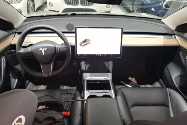 Tesla Model 3 2021 car image #10